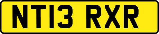 NT13RXR