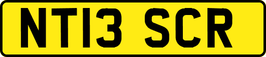 NT13SCR