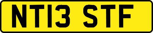 NT13STF