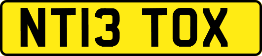 NT13TOX