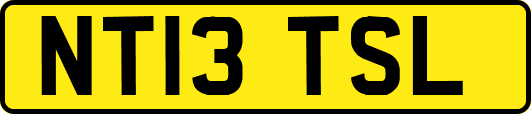 NT13TSL