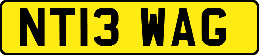 NT13WAG