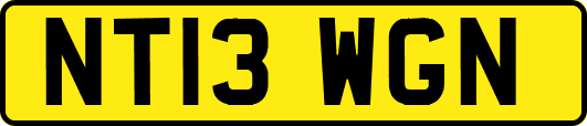 NT13WGN
