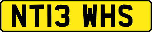 NT13WHS
