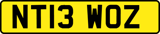 NT13WOZ