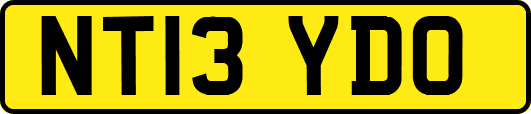 NT13YDO