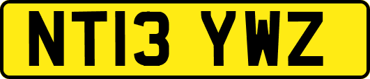 NT13YWZ