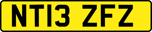 NT13ZFZ