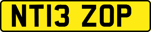 NT13ZOP