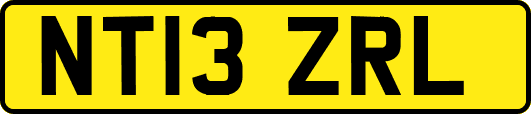 NT13ZRL