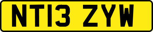 NT13ZYW