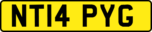 NT14PYG