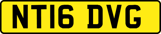 NT16DVG