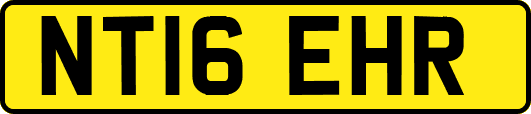 NT16EHR