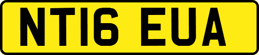 NT16EUA