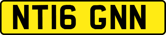 NT16GNN