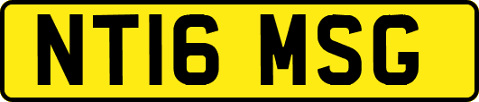 NT16MSG