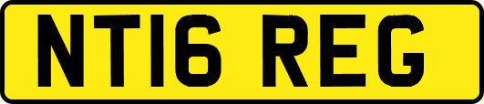 NT16REG