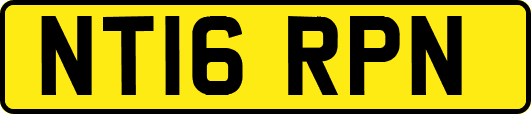 NT16RPN