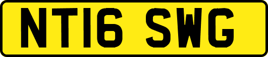NT16SWG