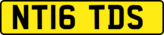 NT16TDS