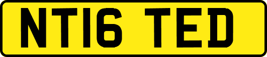 NT16TED