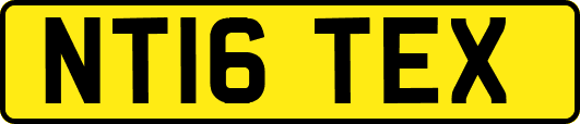 NT16TEX