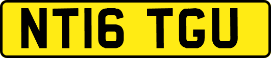 NT16TGU