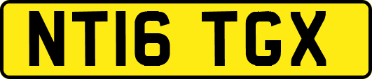 NT16TGX