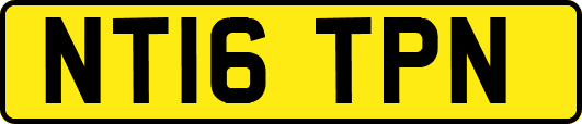 NT16TPN