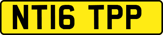 NT16TPP