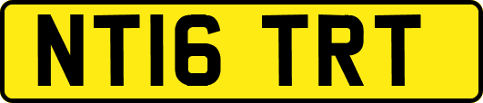 NT16TRT
