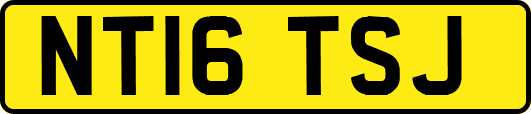 NT16TSJ