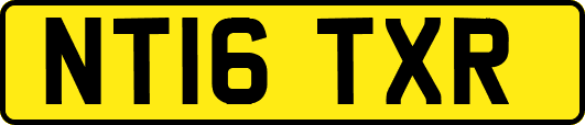 NT16TXR