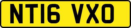 NT16VXO