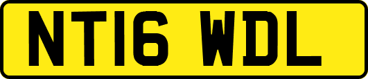 NT16WDL