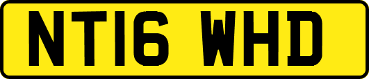 NT16WHD