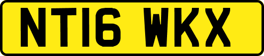 NT16WKX