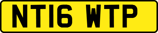 NT16WTP