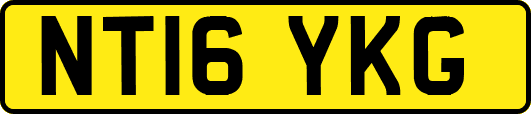 NT16YKG