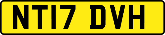 NT17DVH