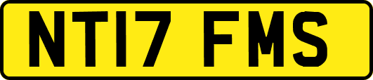 NT17FMS