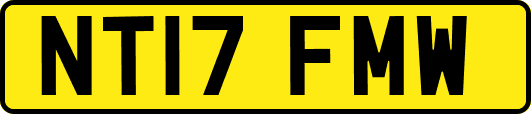 NT17FMW