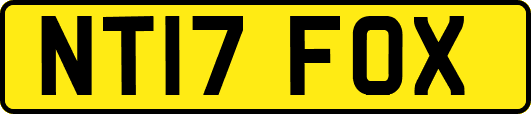 NT17FOX