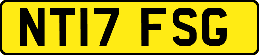 NT17FSG