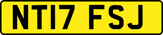 NT17FSJ