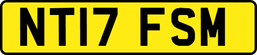 NT17FSM