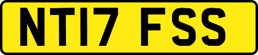 NT17FSS