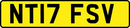 NT17FSV