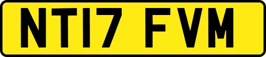 NT17FVM
